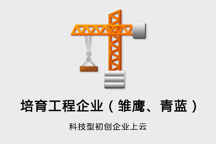 杭州市科技型初创企业培育工程企业（雏鹰、青蓝）