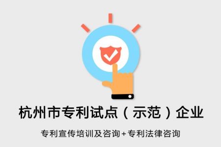 杭州市专利试点（示范）企业